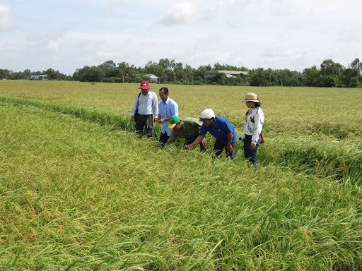 Farmland prices in Vietnam rise during COVID-19 farmland prices in vietnam rise during covid 19