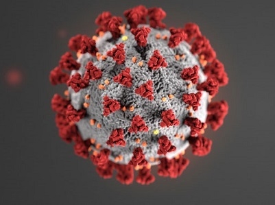 WHO: 70 COVID-19 vaccines in development, with 3 candidates tested in human who 70 covid 19 vaccines in development with 3 candidates tested in human