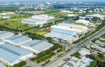 vietnam pork price rises despite governments efforts