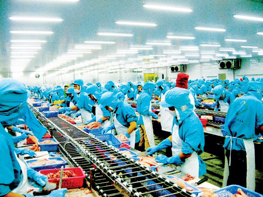 Experts: Many sectors in Vietnam economy will recover quickly experts many sectors in vietnam economy will recover quickly