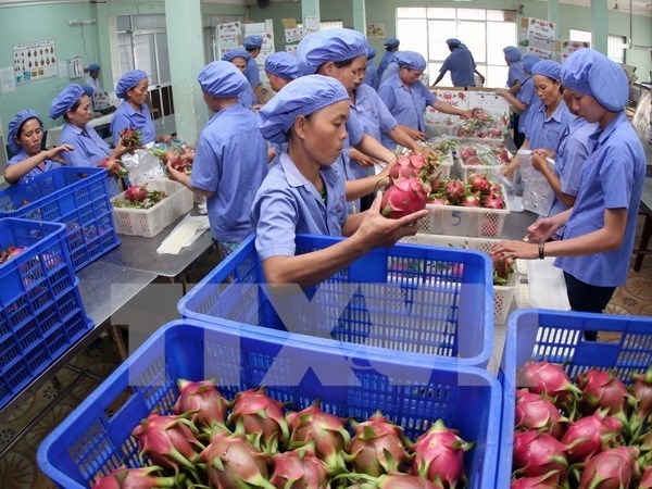 Vietnam exports dropped sharply in May vietnam exports dropped sharply in may