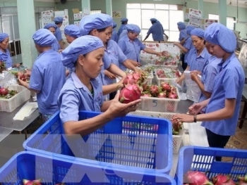 exports and industrial production bounce back in vns biggest economic engine