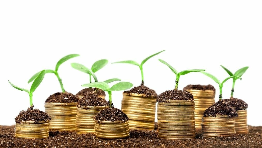 3 great suggestions to bounce back if you lose money due to Covid-19 3 great suggestions to bounce back if you lose money due to covid 19