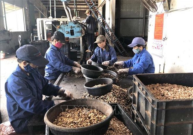 Ministry of Finance proposes to reduce corporate income tax by 30% for small and micro businesses ministry of finance proposes to reduce corporate income tax by 30 for small and micro businesses