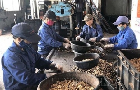 Ministry of Finance proposes to reduce corporate income tax by 30% for small and micro businesses