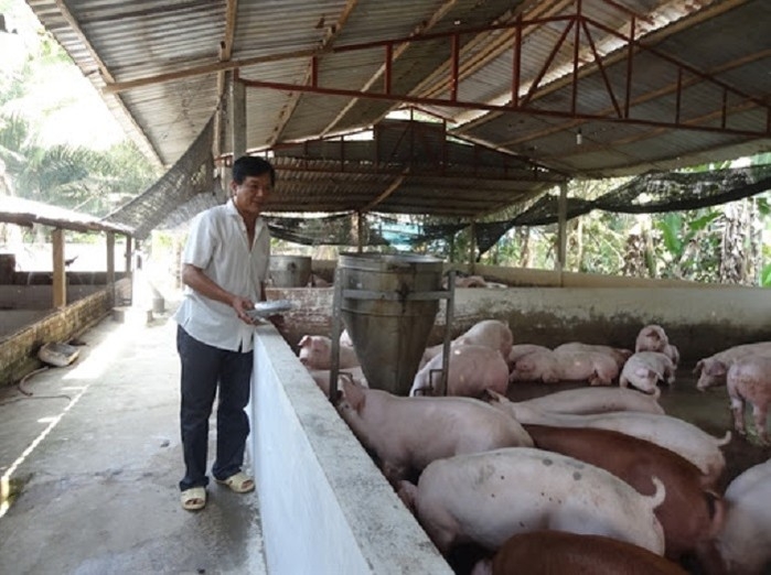 Vietnam pork prices climbed high as supply refuses to rise vietnam pork prices climbed high as supply refuses to rise