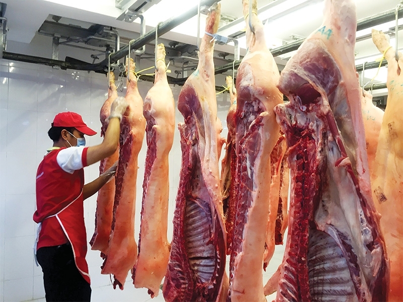 Vietnam pork prices climbed high as supply refuses to rise vietnam pork prices climbed high as supply refuses to rise
