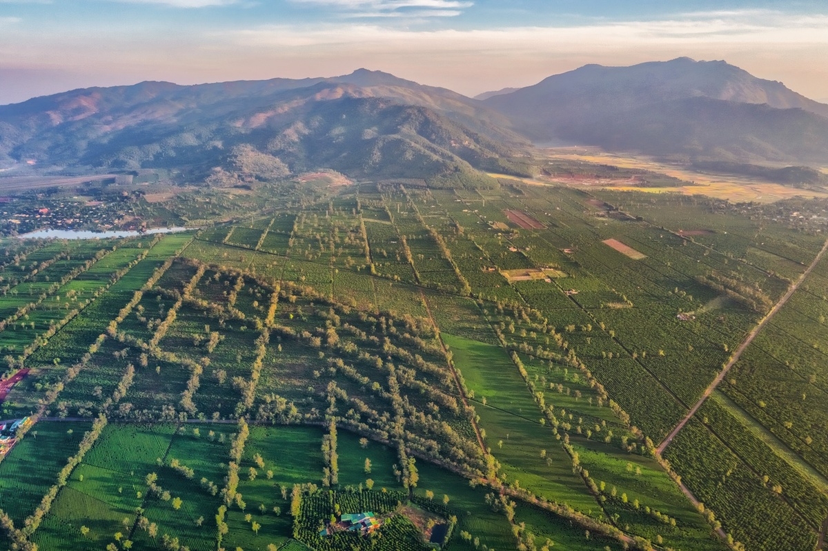 7 destinations in Vietnam's Central Highlands that can't be missed 7 destinations you should not miss in the central highlands