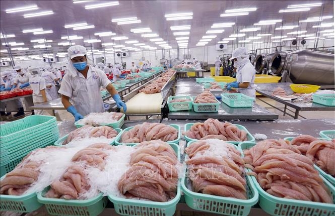 Enterprise establishment in Vietnam surges 36% in May enterprise establishment in vietnam surges 36 in may