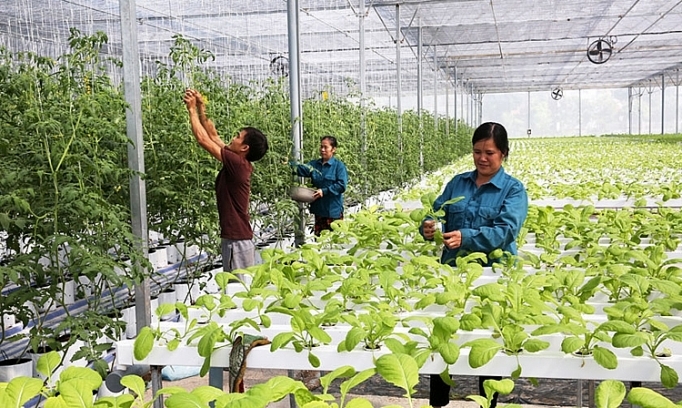 Remarkable improvement in Hanoi's rural modernization remarkable improvement in hanois rural modernization