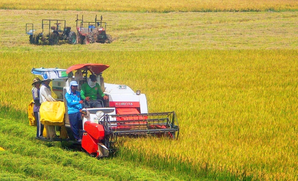 Mekong Delta in the process of agriculture transformation mekong delta in the process of agriculture transformation