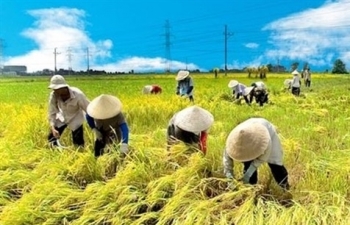 vietnam expects to have 60 of rural communes to meet new standards in 2020