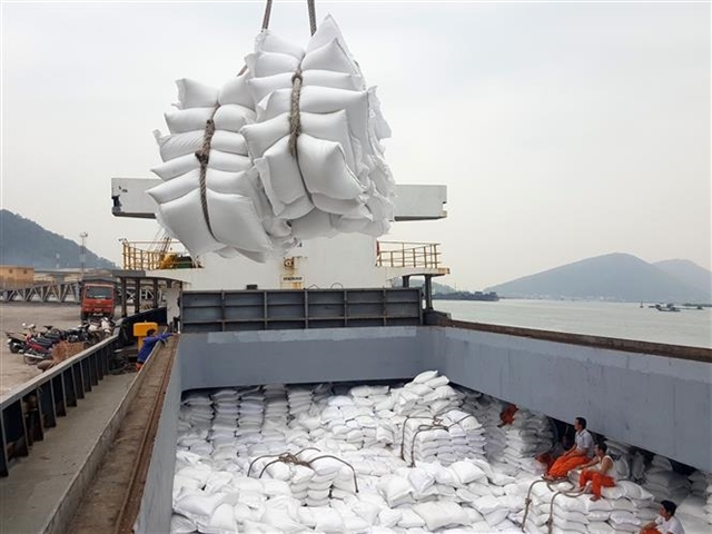 vietnams rice export revenue increased 189 in the first five months