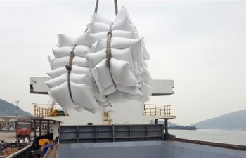 vietnams rice export revenue increased 189 in the first five months