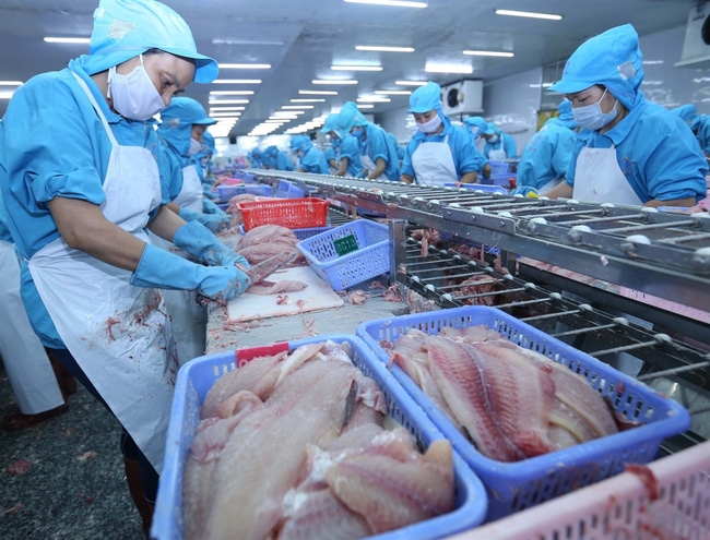policies for vietnam to catch opportunities from eu market after evfta and evipa
