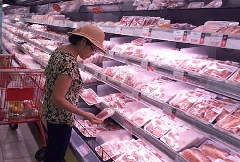 Vietnam to begin importing live pigs from Thailand from June 12 Vietnam to begin importing live pigs from Thailand from June 12