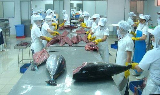 undefined 2430 eu tuna