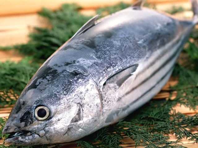 undefined 2522 eu vietnamese tuna
