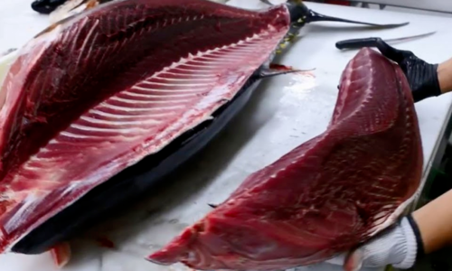 undefined 2712 eu tax vietnamese tuna