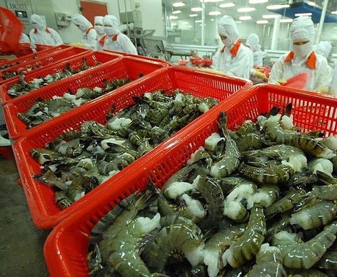 undefined 4108 shrimp exports canada