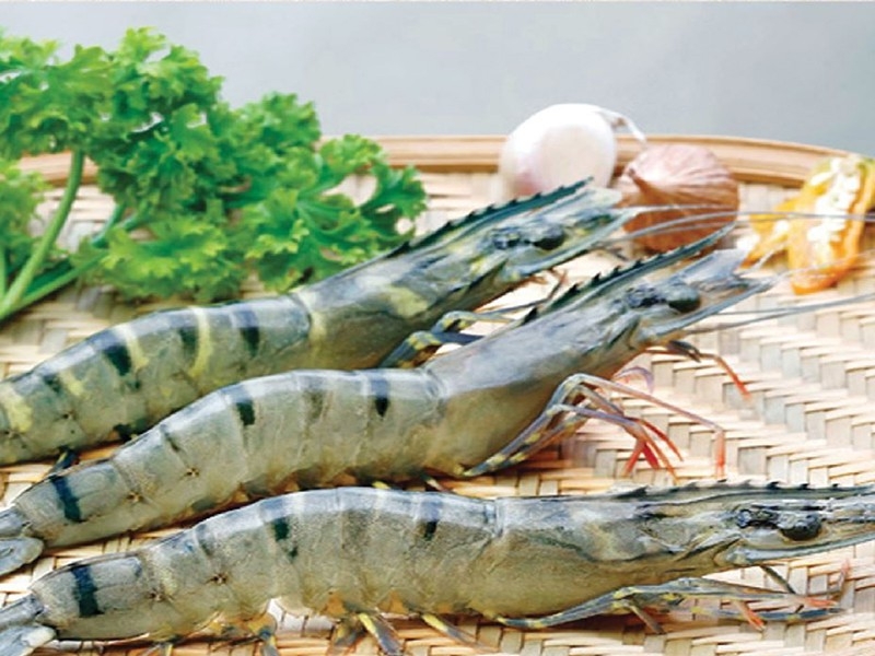 undefined 4520 vietnam shrimp export canada