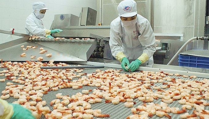 undefined 4616 vietnam shrimp exports