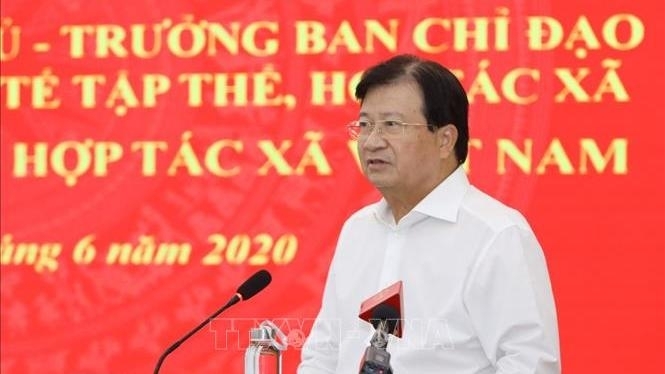 undefined 0351 deputy pm cooperatives