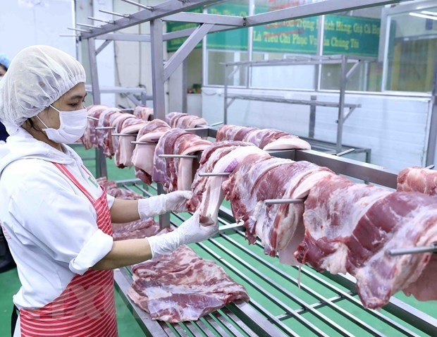 undefined 5409 5 year period vietnam cpi