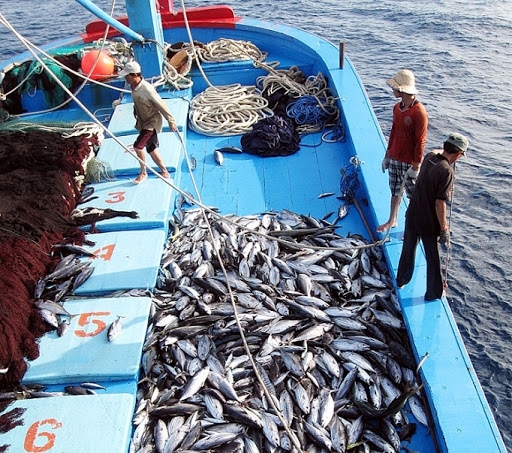 undefined 2727 eu yellow card illegal fishing