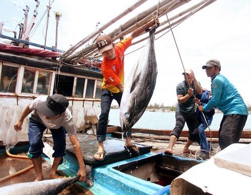 undefined 3027 eu illegal fishing