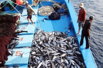 vietnam stressed the goal for eu to remove yellow card over illegal fishing