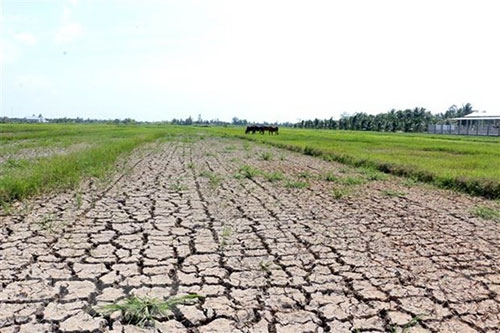 undefined 5642 finland mekong delta climate change