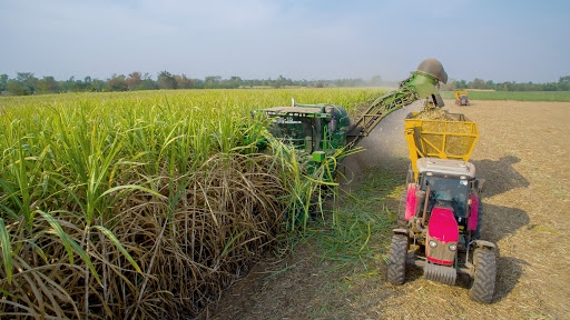 Thai Government takes measures to boost sustainable agricultural development 4443 thailand sustainable development