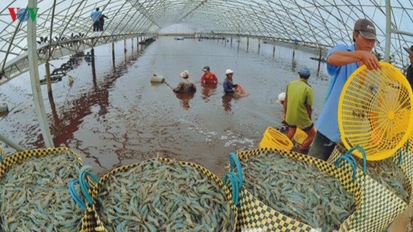undefined 3021 shrimp exports vietnam 2020