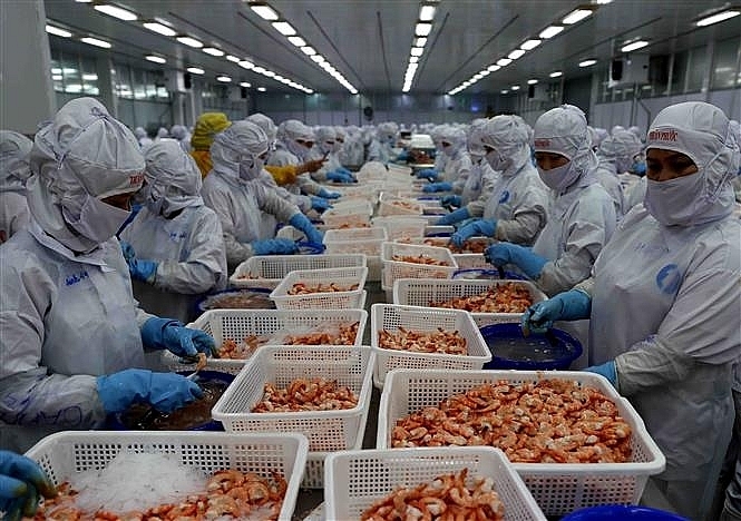undefined 5739 vietnam gdp