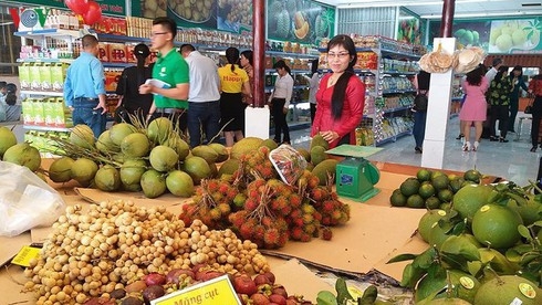 Vietnam's fruit and vegetables exports to Thailand surged 230% 4337 fruit and vegetables