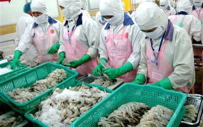 undefined 4812 shrimp exports first half