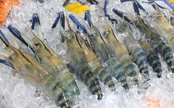 undefined 5012 vietnam shrimp exports first half 2020