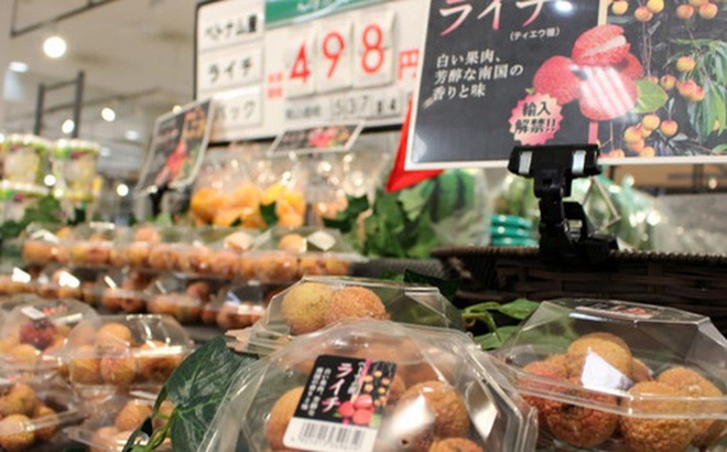 Vietnamese lychee to conquer Japanese taste vietnamese lychee to open japanese market