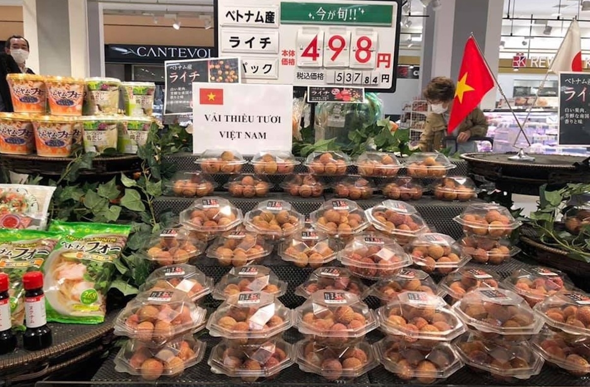 Vietnamese lychee to conquer Japanese taste vietnamese lychee to open japanese market