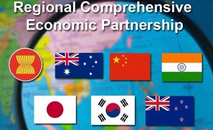 Japanese scholar appreciated Vietnam's role in RCEP talks japanese scholar appreciated vietnams role in rcep talks