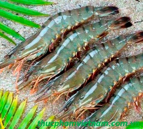 Vietnam s shrimp exports in the first six months up 5 7 4722 shrimp export vietnam