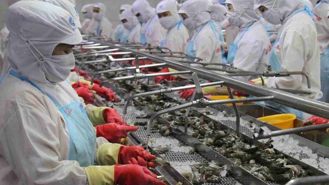 Vietnam s shrimp exports in the first six months up 5 7 5149 shrimp exports vietnam in 2020