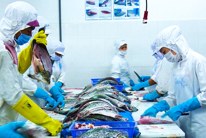 undefined 4529 vietnamagro fishery forestry