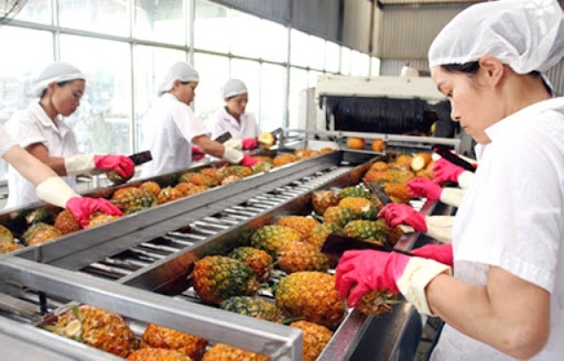 undefined 3916 vietnam export value