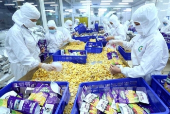 vietnams agricultural exports in july reaches usd 34 billion
