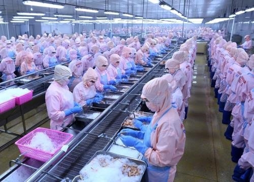 Vietnamese seafood exports increase after EVFTA comes into force Vietnamese seafood exports increase after EVFTA comes into force
