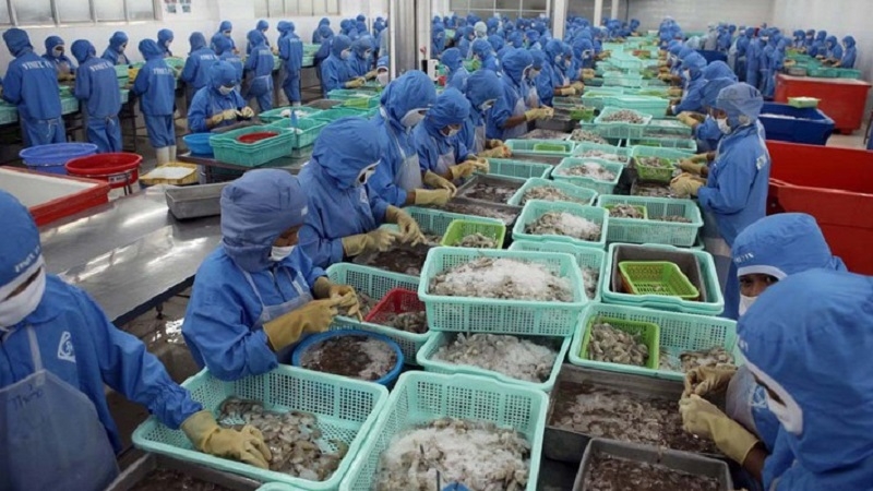 Vietnamese seafood exports increase after EVFTA comes into force Vietnamese seafood exports increase after EVFTA comes into force