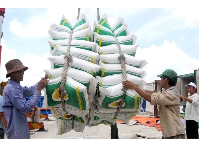 undefined 5947 vietnam rice 2020
