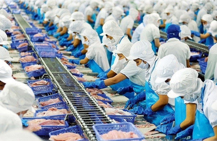 undefined 4917 seafood export aquatic vietnam